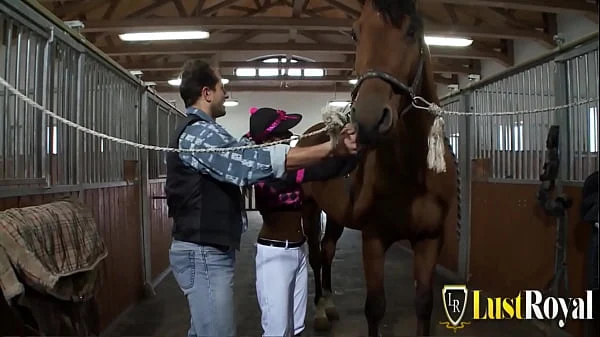 Stable boy bangs sexy brunette babe