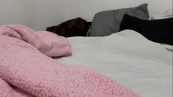 549 ROSSMEX SE MASTURBA RICO PARA UNA DELICIOSA VIDEOLLAMADA