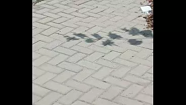 Vídeo de verificación