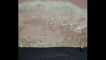 Bed Humping Gives Nothing But Joy