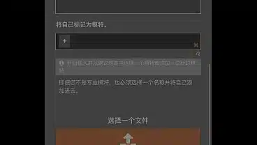验证视频