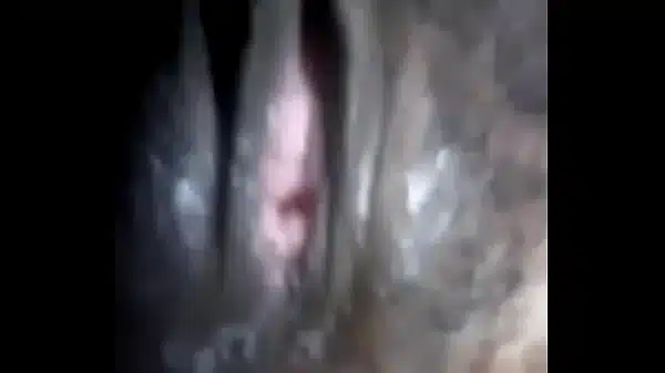 Xvideos
